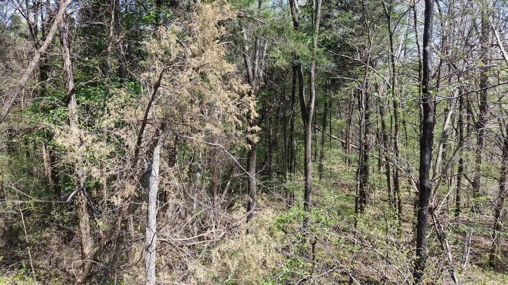 0 Old Highway 96 Burns TN 37029