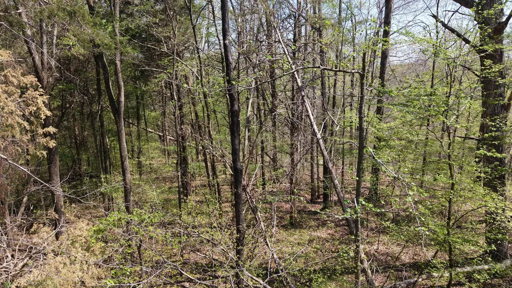 0 Old Highway 96 Burns TN 37029