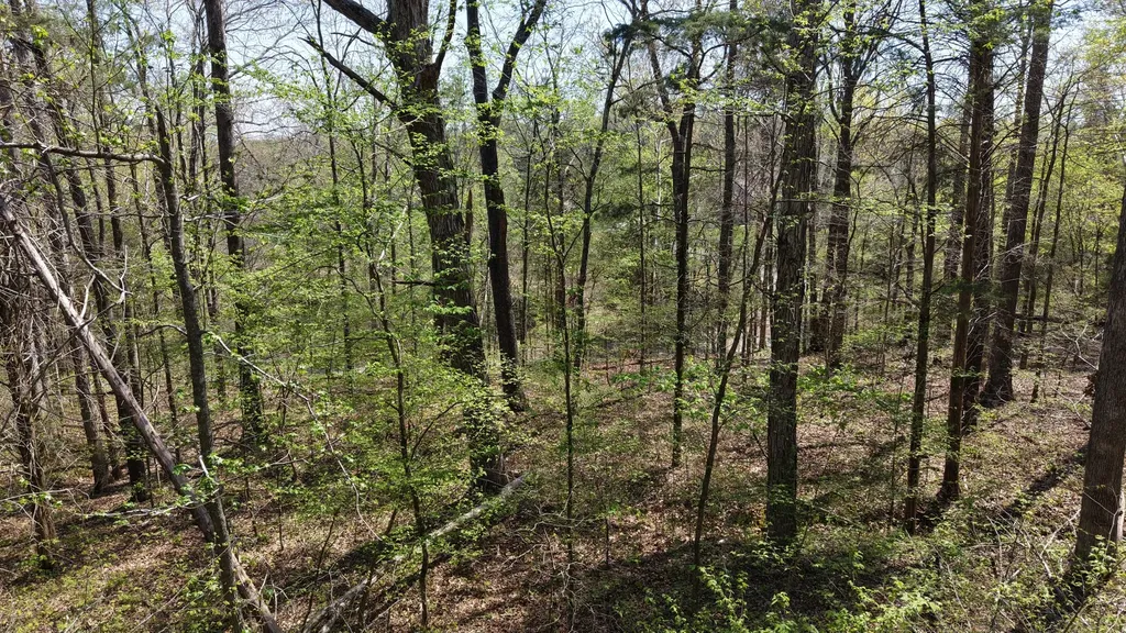 0 Old Highway 96 Burns TN 37029