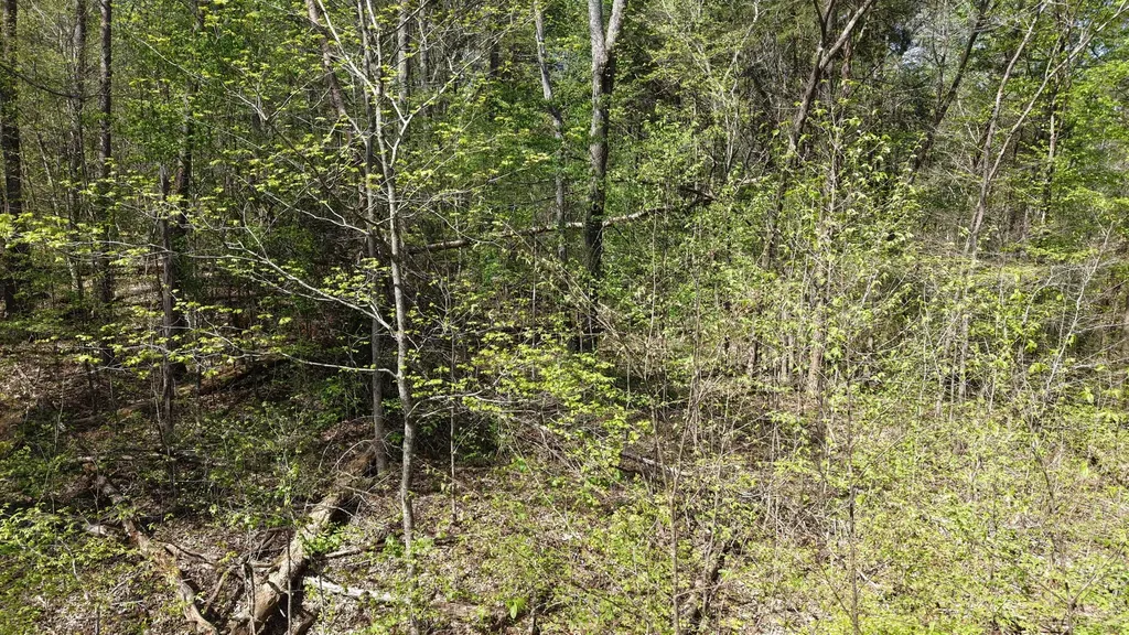0 Old Highway 96 Burns TN 37029