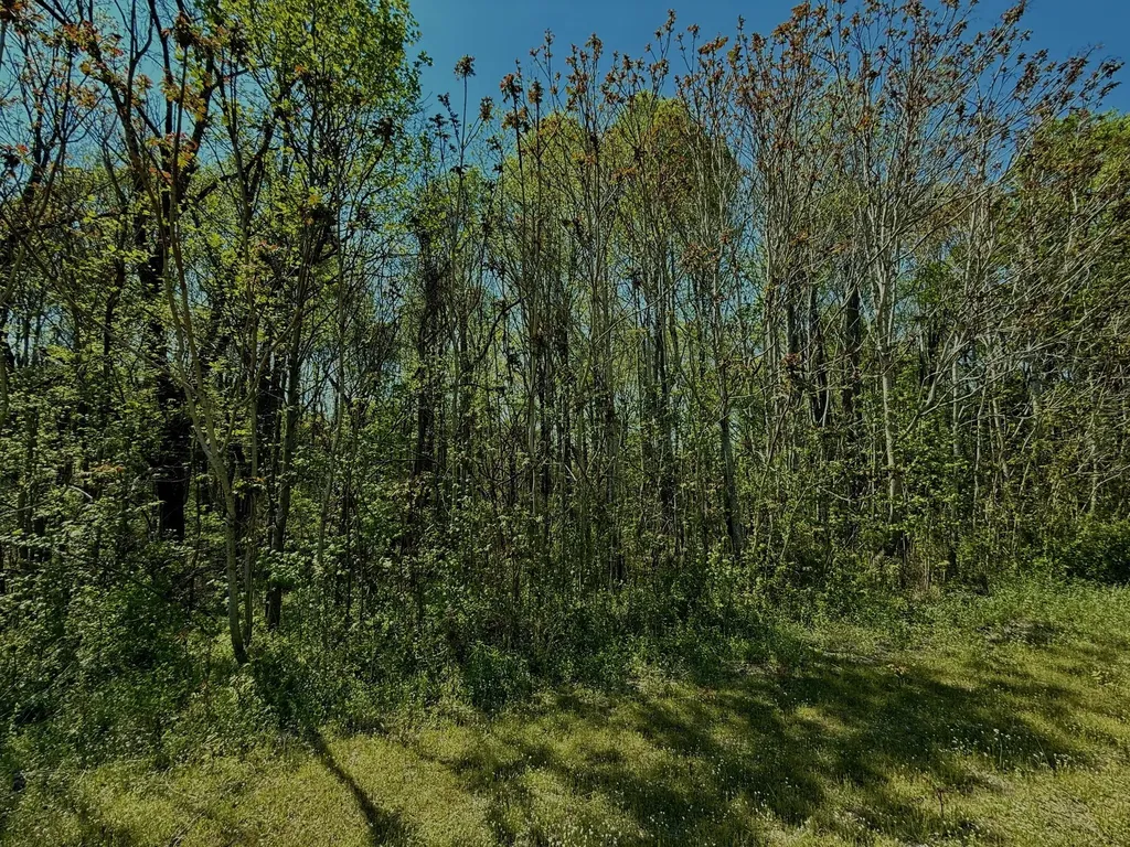 1160 Kermet Turner Road Rock Island TN 38581