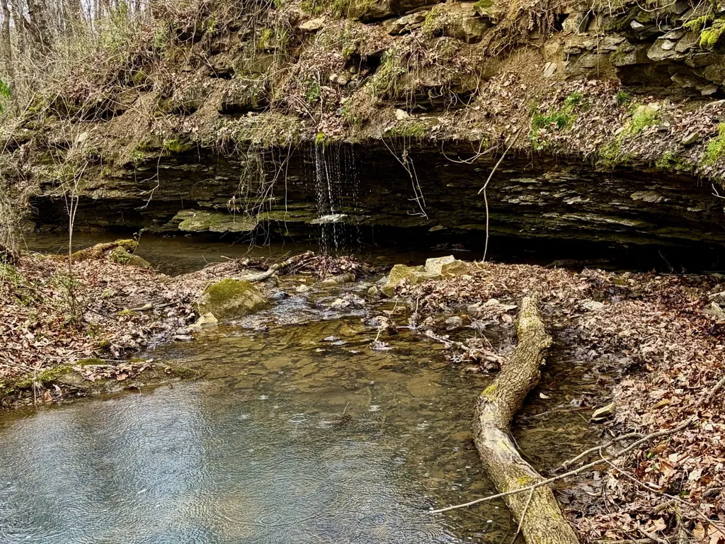 1160 Kermet Turner Road Rock Island TN 38581