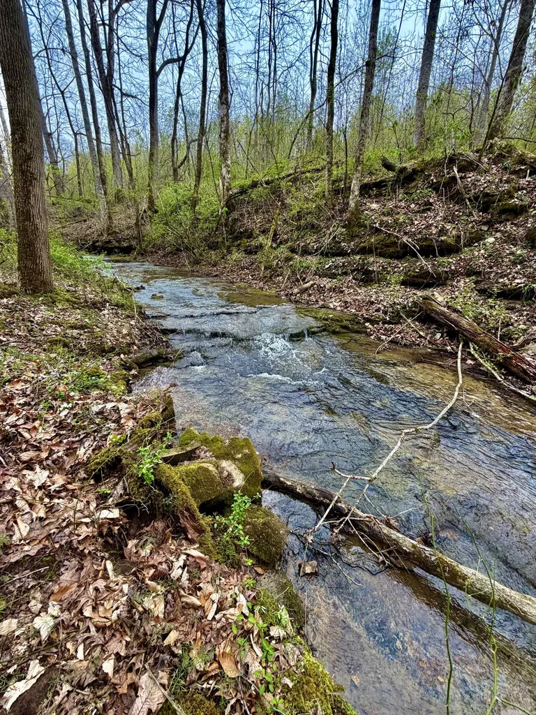 1160 Kermet Turner Road Rock Island TN 38581