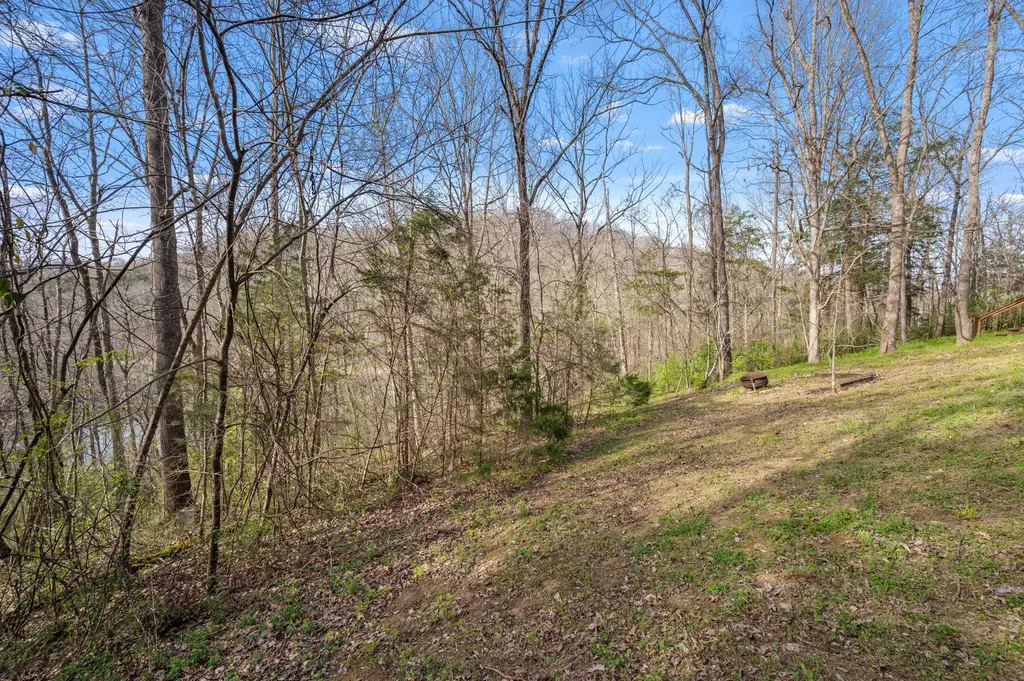 929 Old Casey Cove Road Smithville TN 37166
