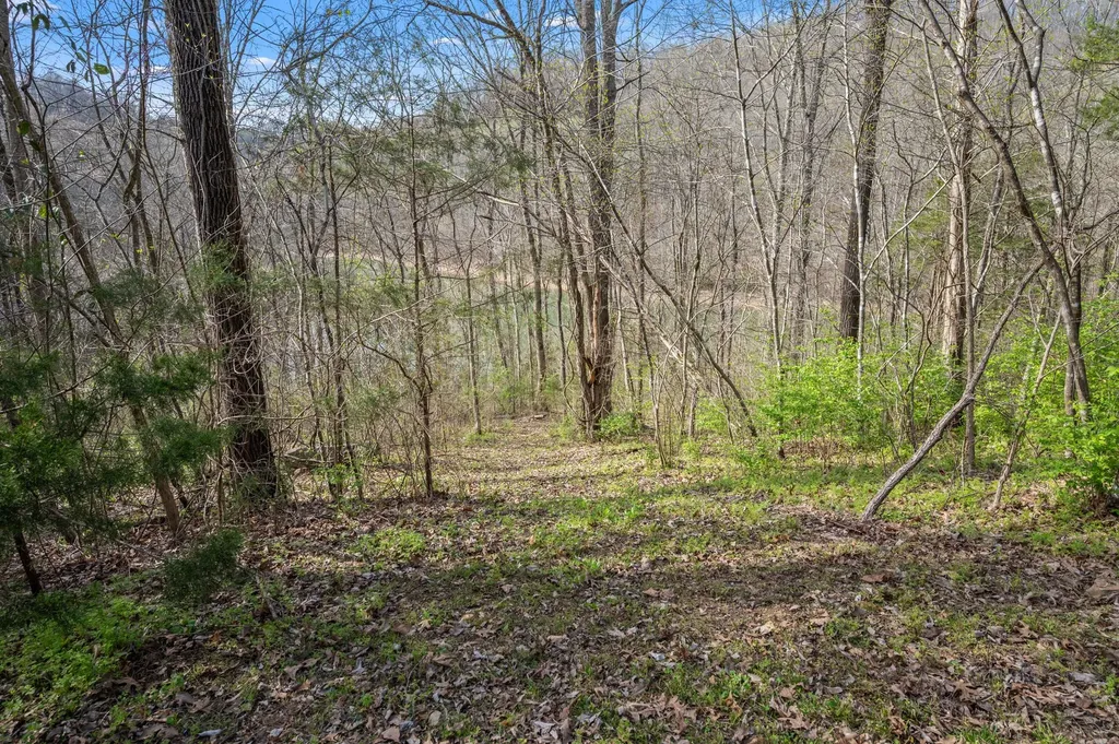 929 Old Casey Cove Road Smithville TN 37166