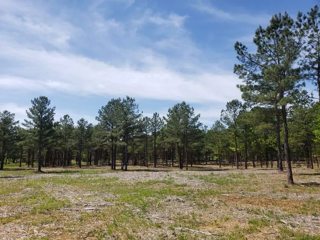 0 Kedron Road Spring Hill TN 37174