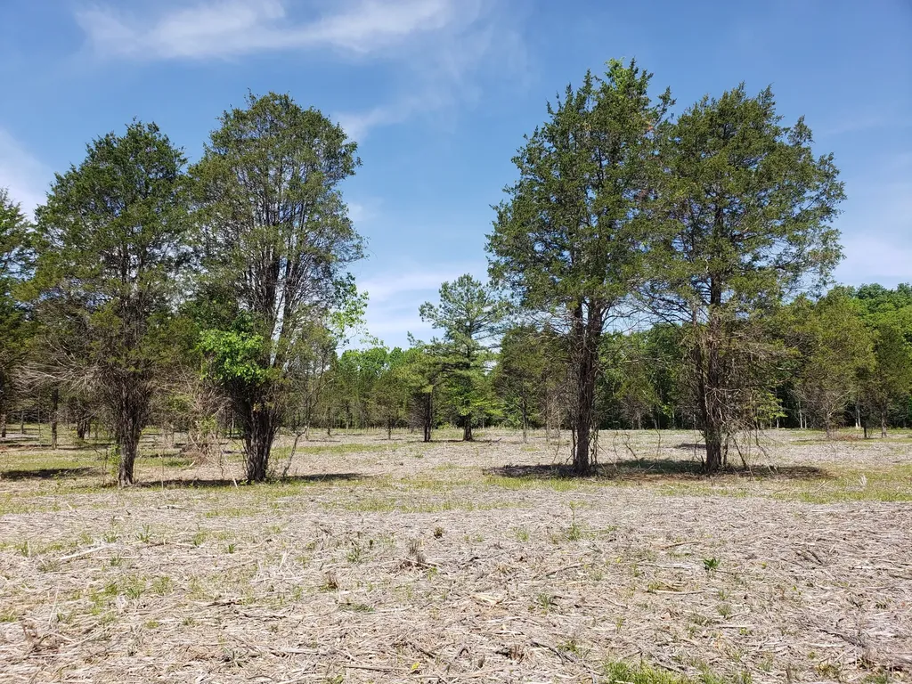 0 Kedron Road Spring Hill TN 37174