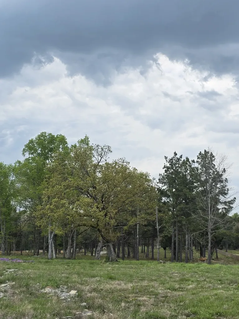 0 Kedron Road Spring Hill TN 37174