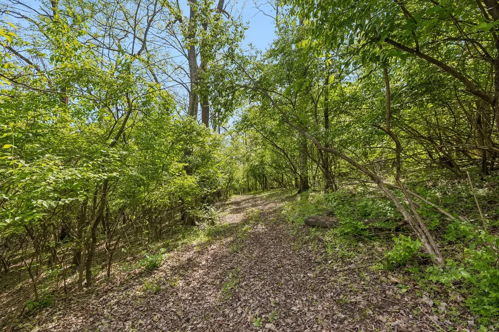 999 Scramblers Knob Franklin TN 37069