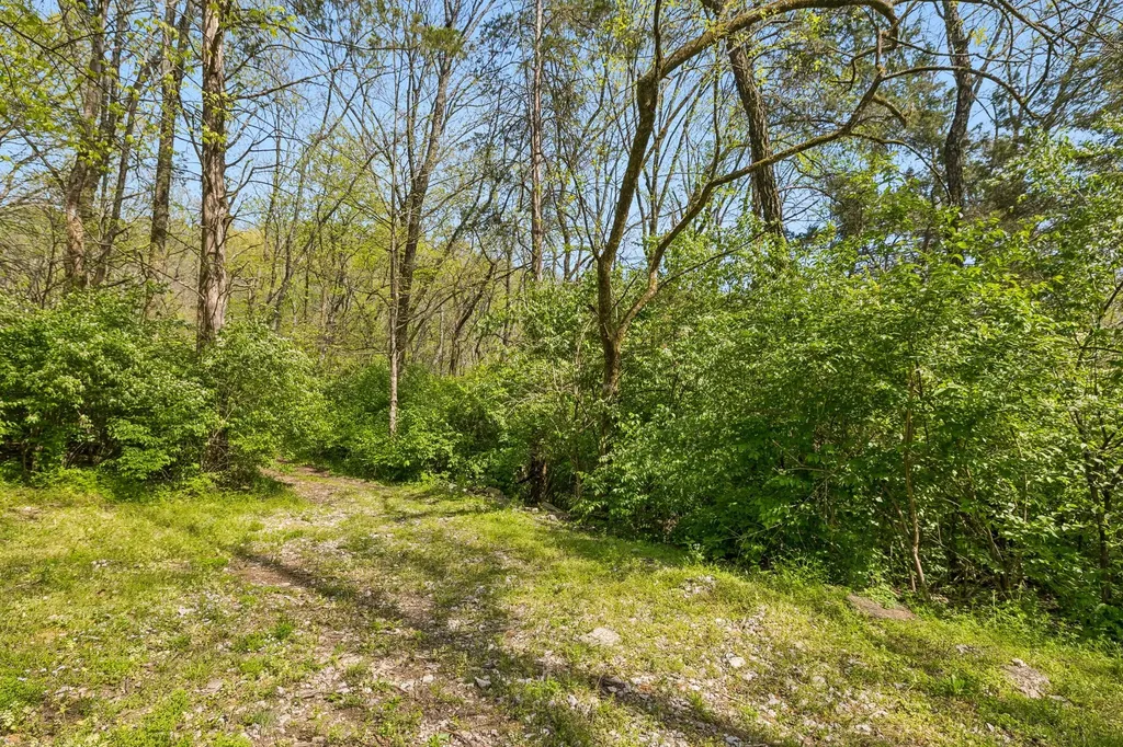 999 Scramblers Knob Franklin TN 37069