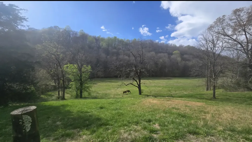 109 Creek Bend Lane Manchester TN 37355
