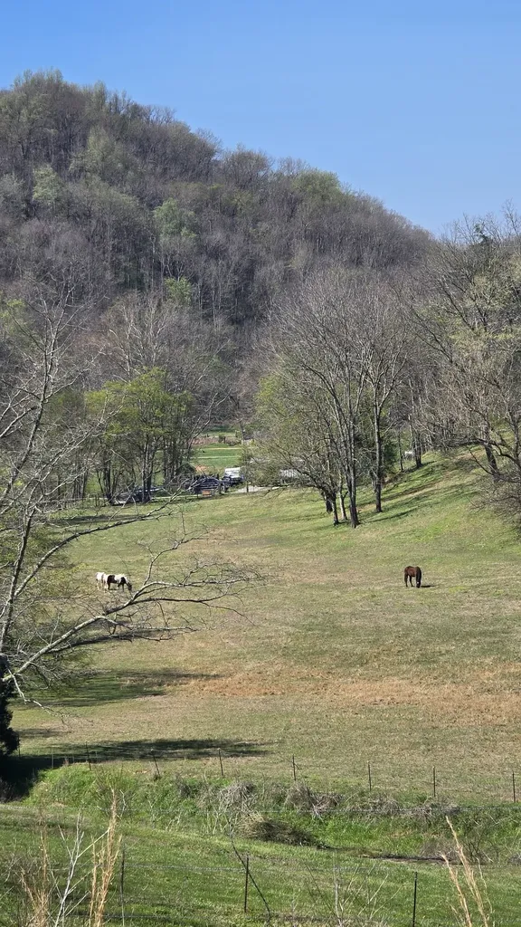 109 Creek Bend Lane Manchester TN 37355