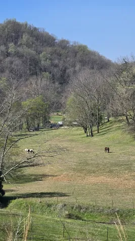 109 Creek Bend Lane Manchester TN 37355