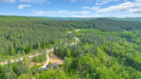1755 Birds Eye Way Guild TN 37340
