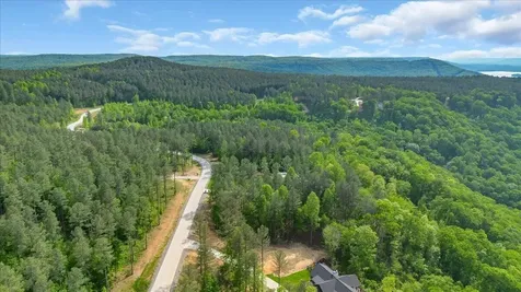 1755 Birds Eye Way Guild TN 37340