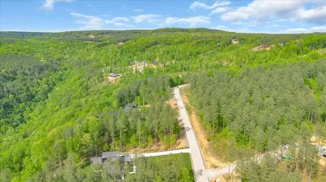 1755 Birds Eye Way Guild TN 37340