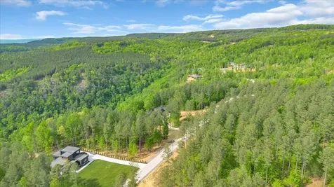 1755 Birds Eye Way Guild TN 37340