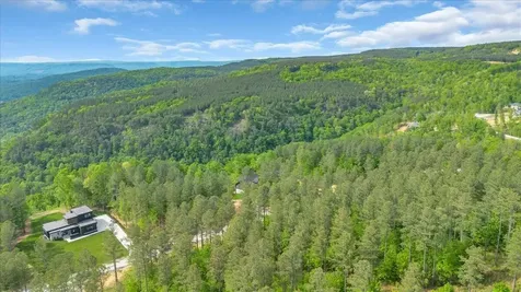 1755 Birds Eye Way Guild TN 37340
