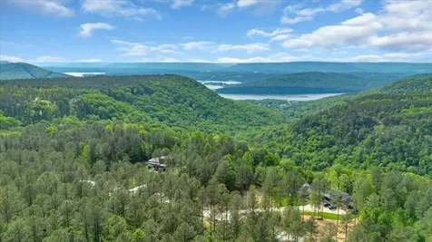 1755 Birds Eye Way Guild TN 37340
