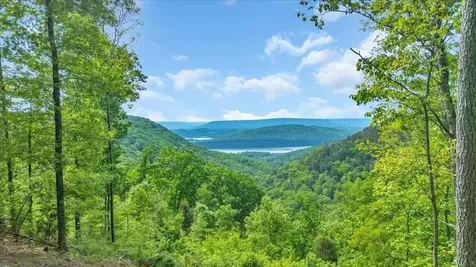 1755 Birds Eye Way Guild TN 37340