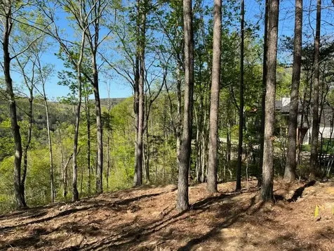 1755 Birds Eye Way Guild TN 37340