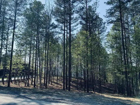 1755 Birds Eye Way Guild TN 37340