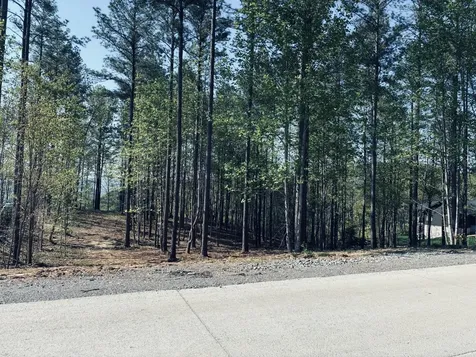 1755 Birds Eye Way Guild TN 37340