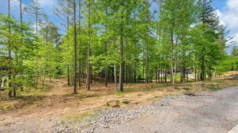 1755 Birds Eye Way Guild TN 37340