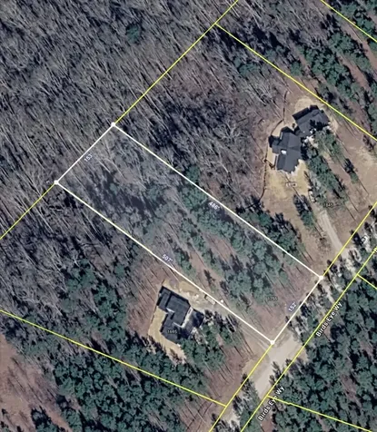 1755 Birds Eye Way Guild TN 37340