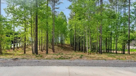1755 Birds Eye Way Guild TN 37340