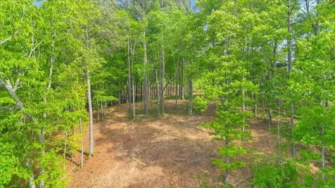 1755 Birds Eye Way Guild TN 37340