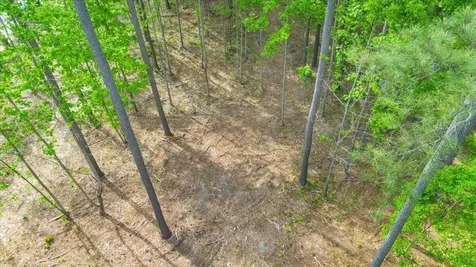 1755 Birds Eye Way Guild TN 37340