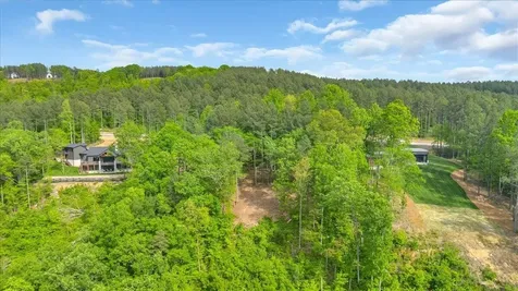 1755 Birds Eye Way Guild TN 37340