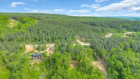 1755 Birds Eye Way Guild TN 37340