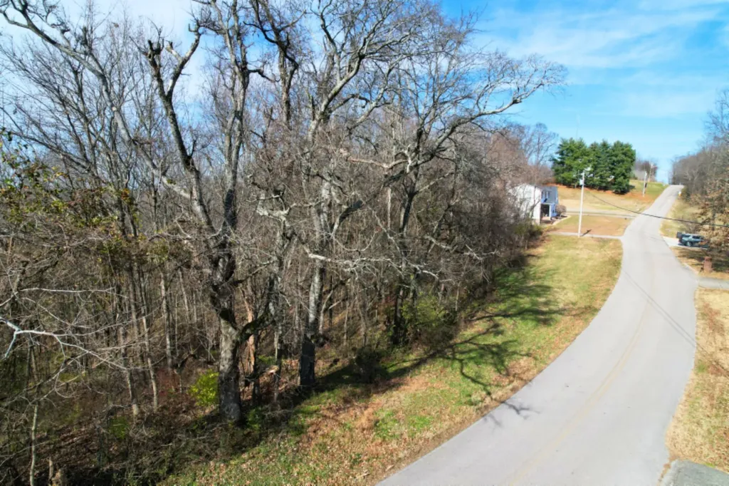 19 Skyline Dr, S Lewisburg TN 37091