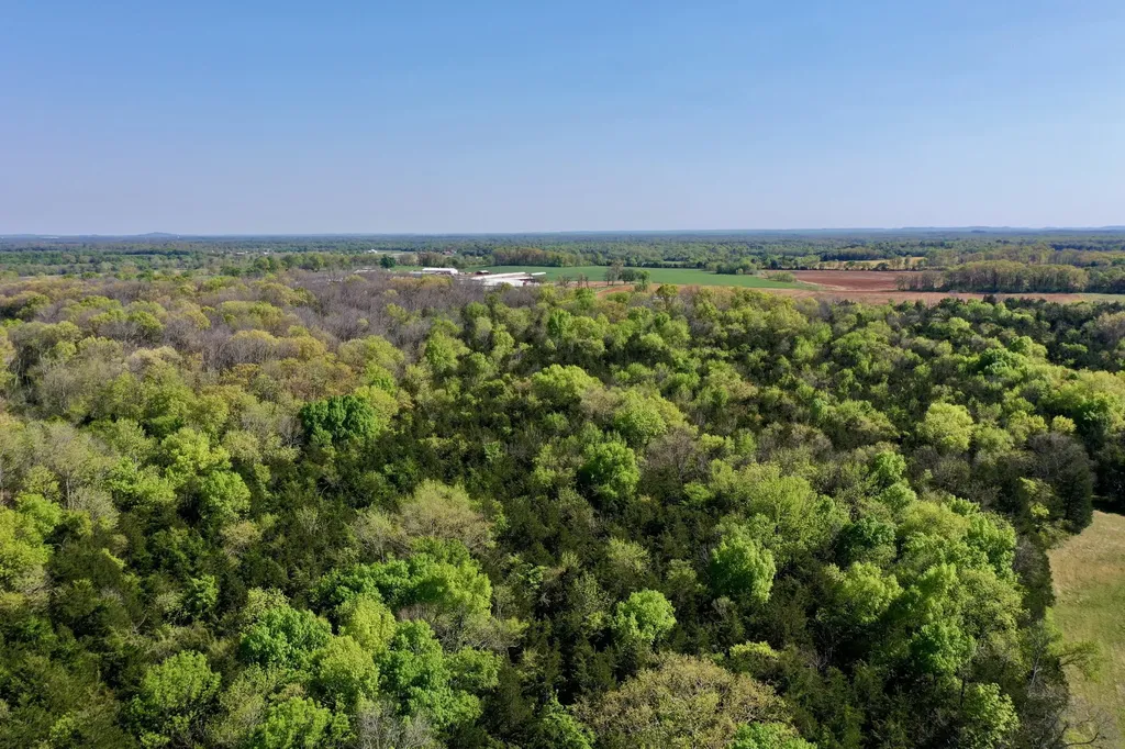 0 Cedar Grove Road, S Chapel Hill TN 37034