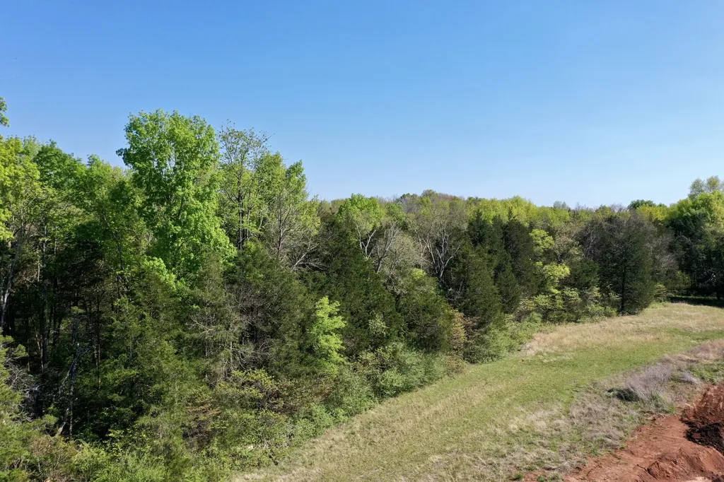 0 Cedar Grove Road, S Chapel Hill TN 37034