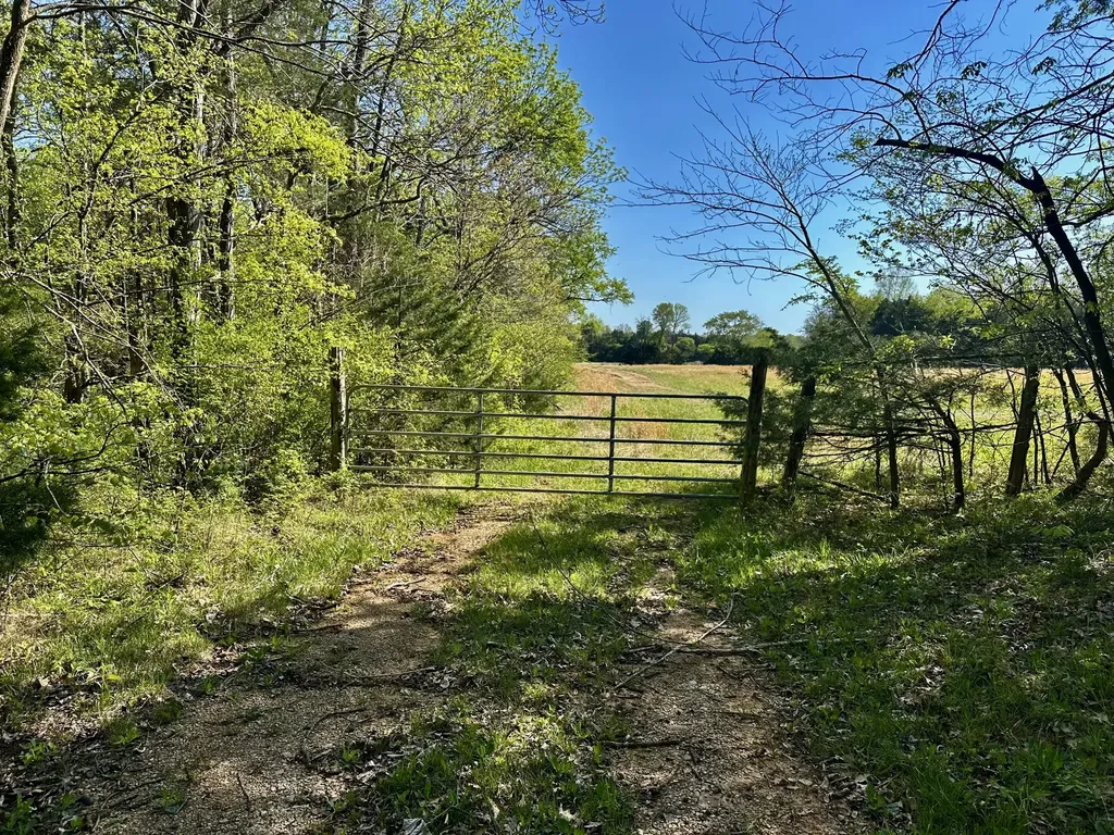 0 Cedar Grove Road, S Chapel Hill TN 37034