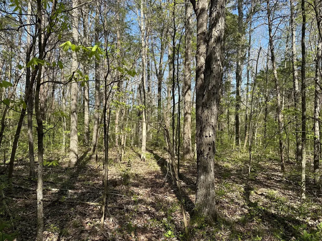 0 Cedar Grove Road, S Chapel Hill TN 37034