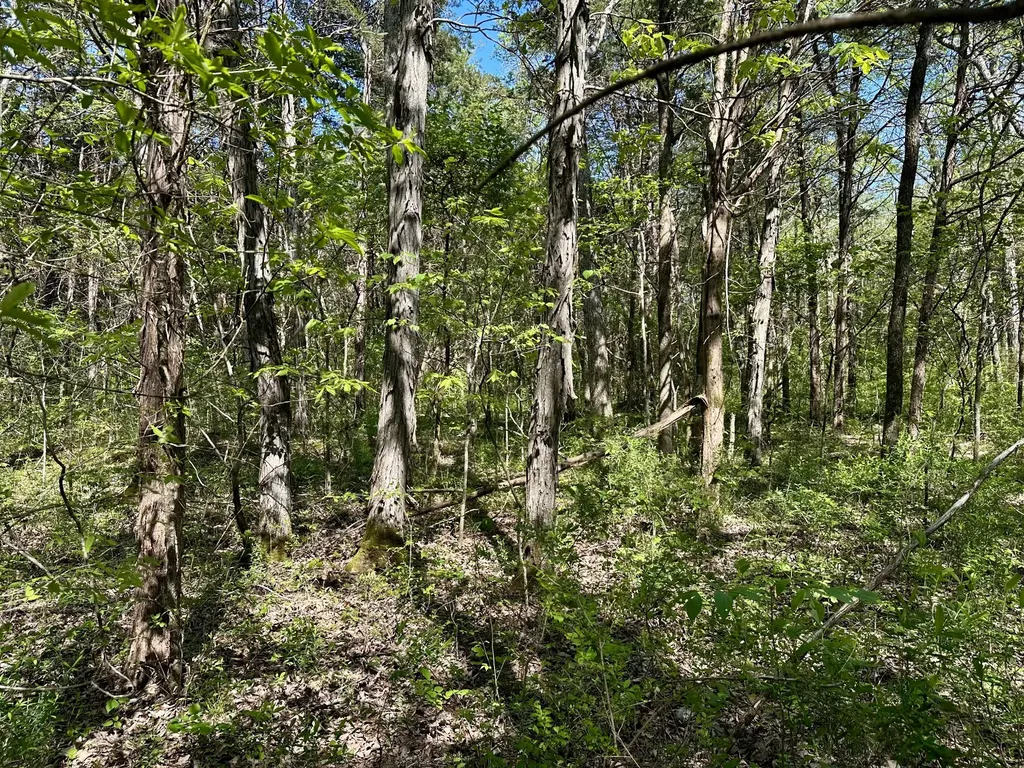0 Cedar Grove Road, S Chapel Hill TN 37034