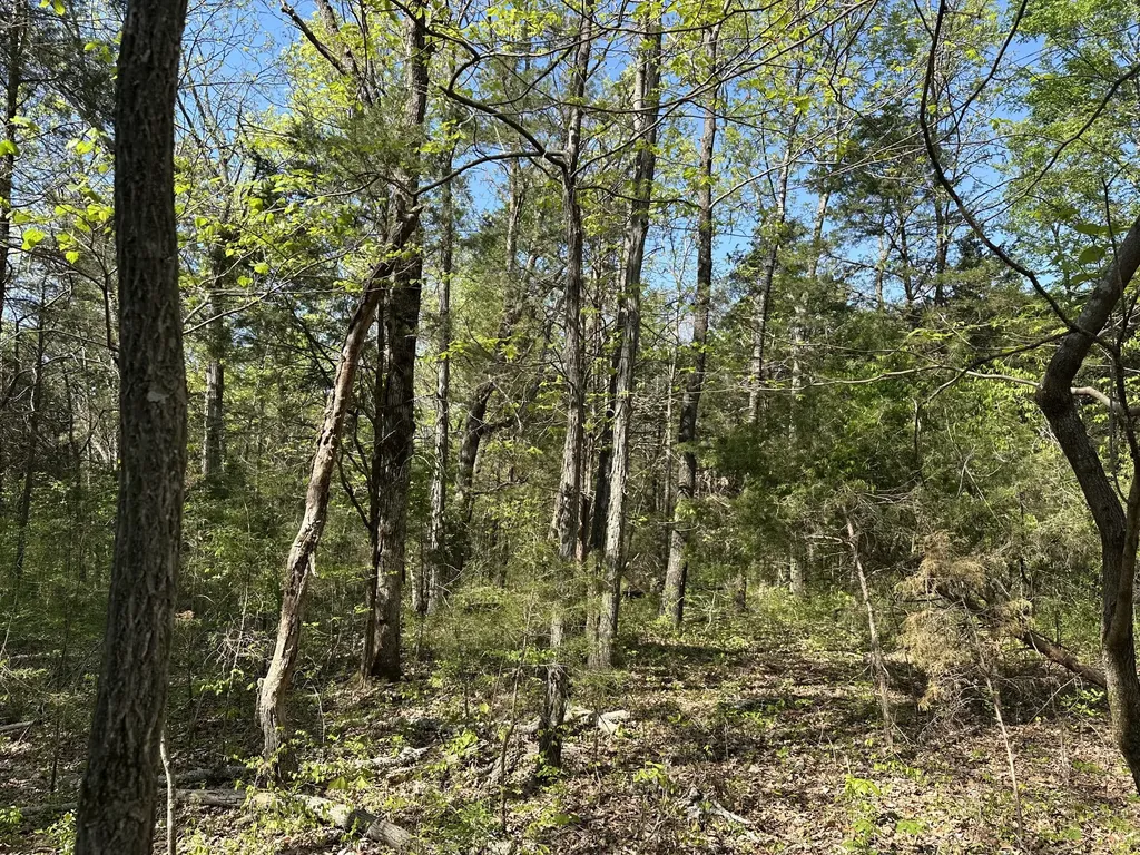 0 Cedar Grove Road, S Chapel Hill TN 37034