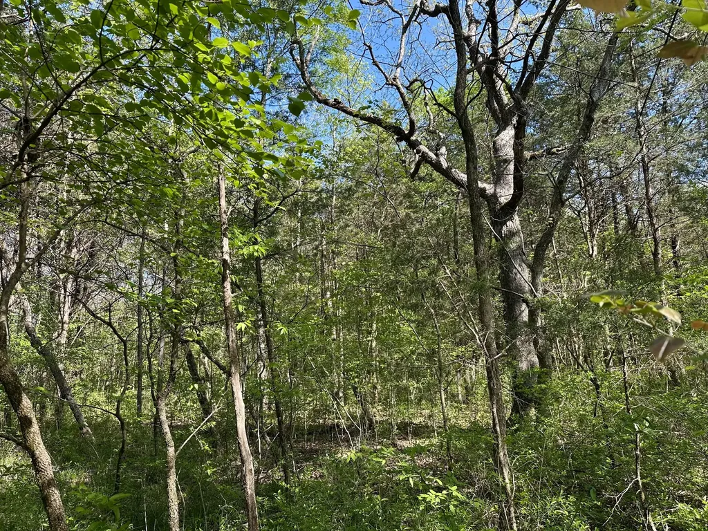 0 Cedar Grove Road, S Chapel Hill TN 37034
