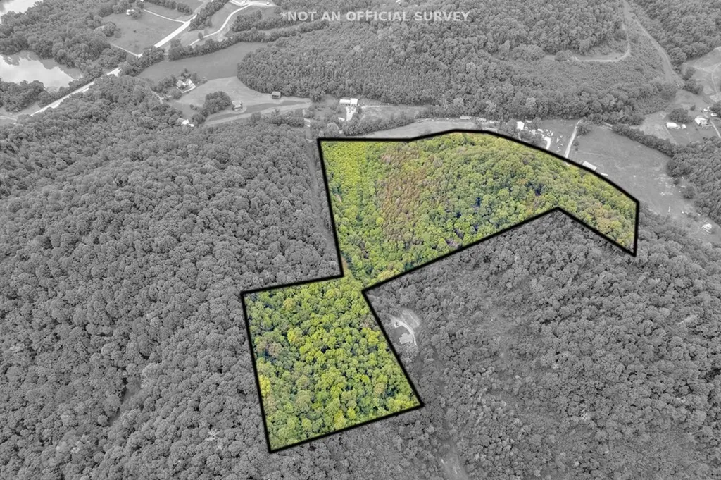0 Hurricane Branch Lane Gainesboro TN 38562