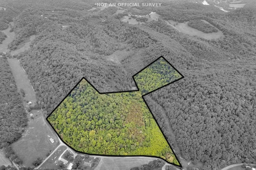 0 Hurricane Branch Lane Gainesboro TN 38562