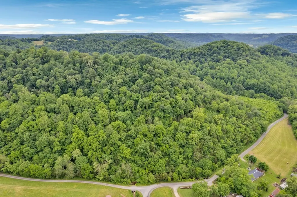 0 Hurricane Branch Lane Gainesboro TN 38562