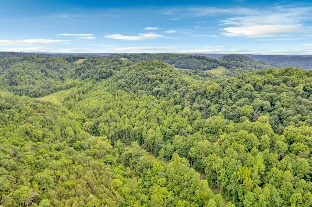 0 Hurricane Branch Lane Gainesboro TN 38562
