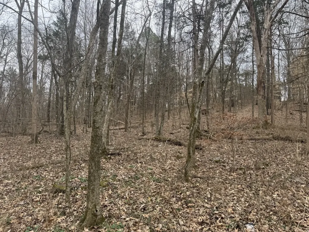 0 Hwy 41 A, N Shelbyville TN 37160