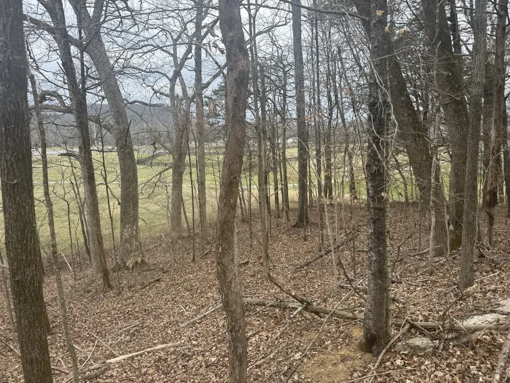 0 Hwy 41 A, N Shelbyville TN 37160