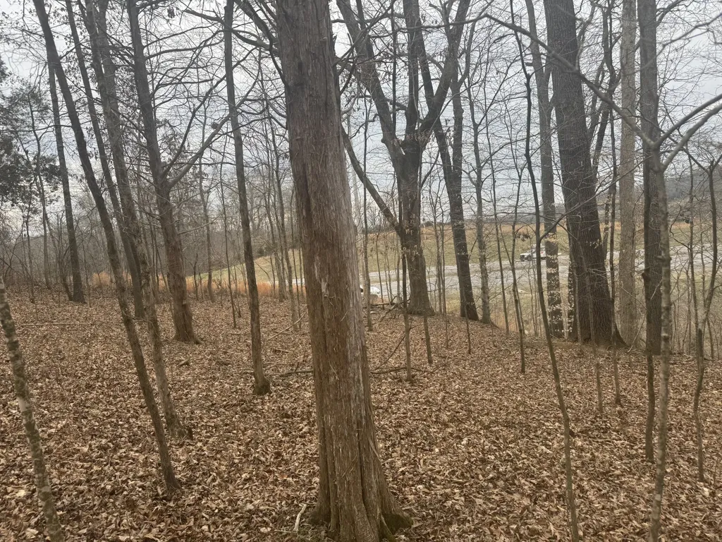 0 Hwy 41 A, N Shelbyville TN 37160