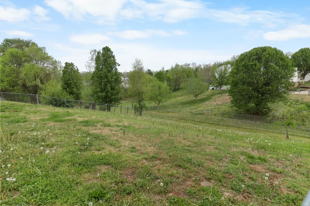 934 Hedge Apple Drive Clarksville TN 37040